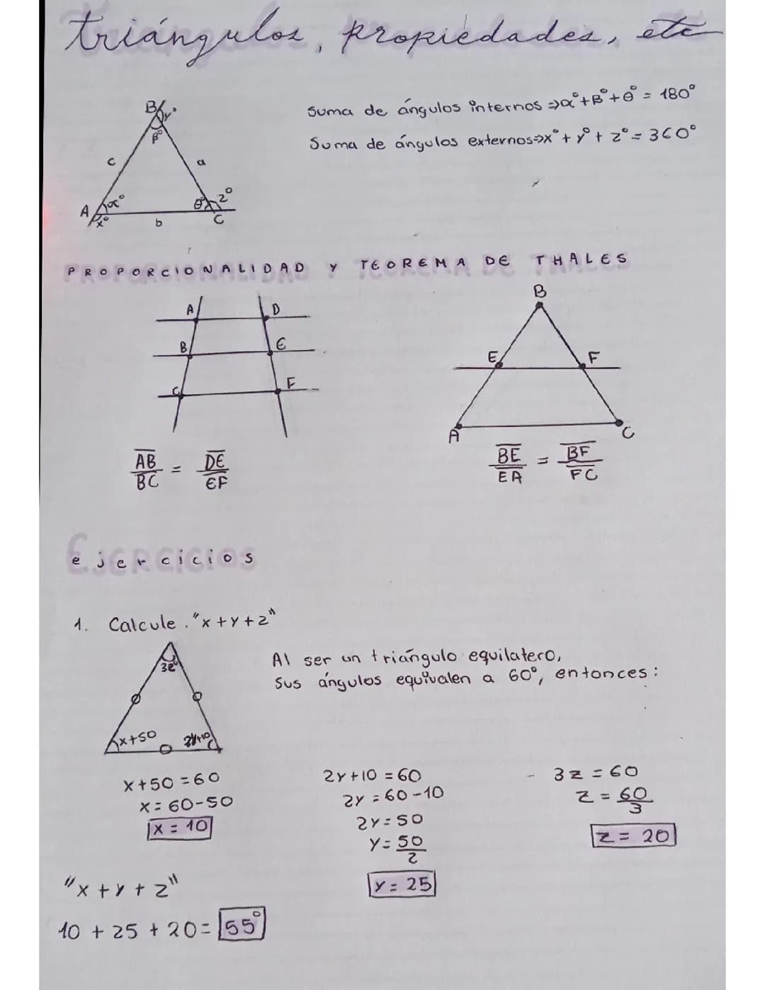 Triangulos: Propiedades y teorema