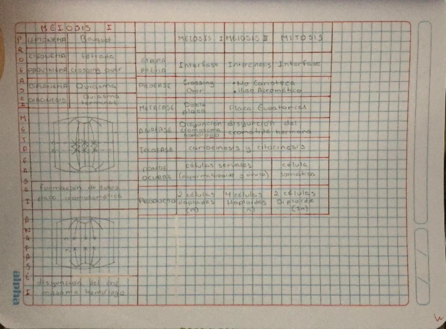 --- OCR Start ---
Fermadior de nuevas celules
DICEREASE FASEM
Benarestin
6: Sa duplica x2 casi todo
CICLO CELULAR
M
P
M
G
Célula en estado d