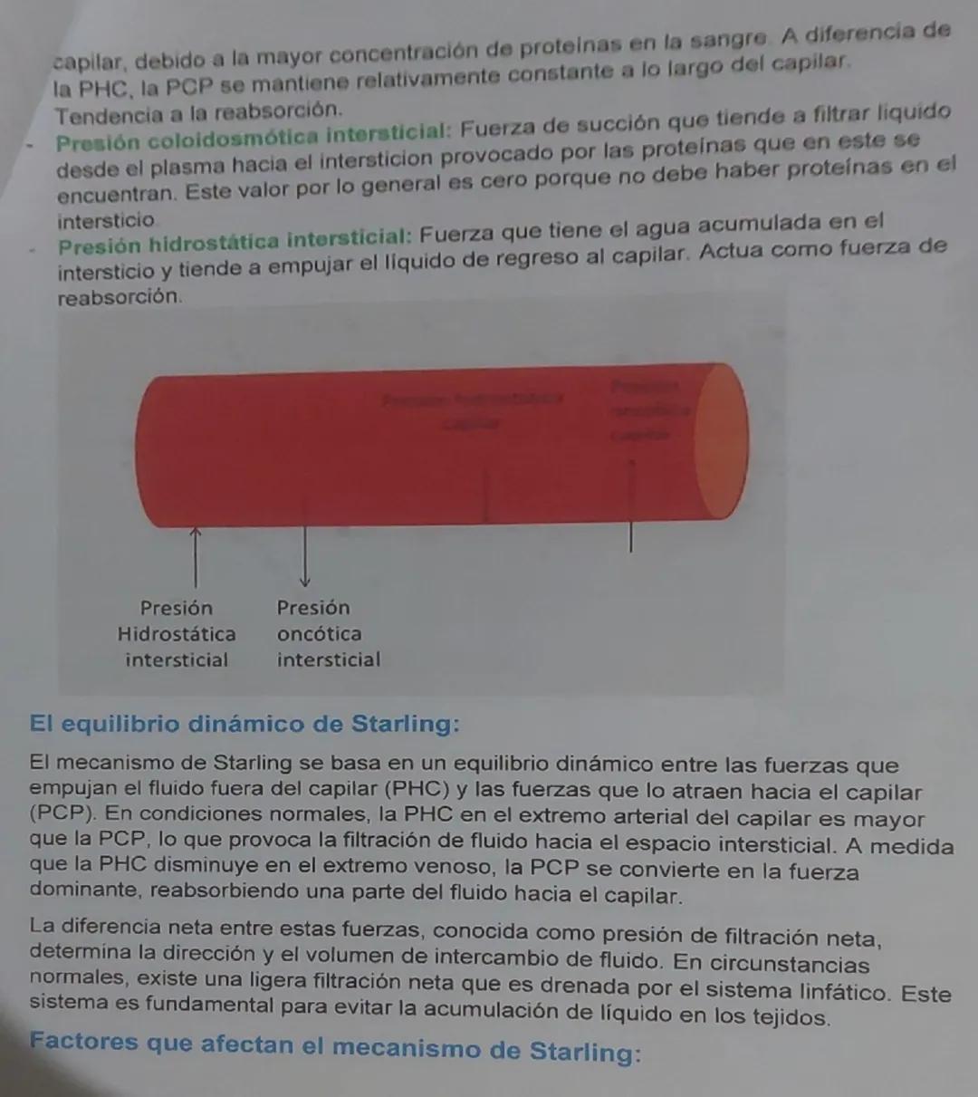 # Fuerzas de Starling

Definición: nombrado en honor al fisiólogo británico Ernest Starling

El mecanismo de Starling, también conocido como