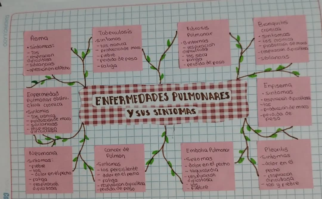 Mapa mental (perdón las faltas ortográficas) 