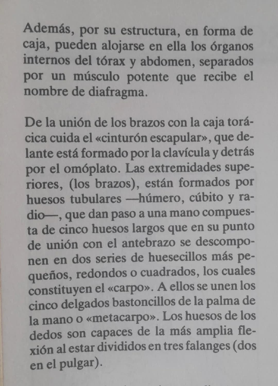 # El esqueleto

El esqueleto del hombre tiene un eje lon-
gitudinal firme: la columna vertebral, fle-
xible y giratorio por estar compuesta 