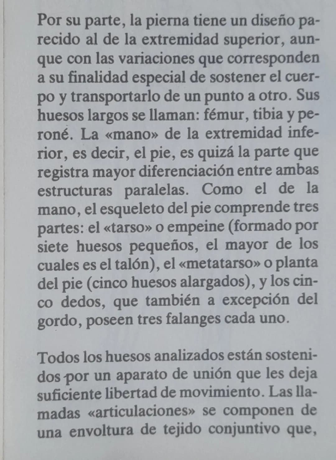 # El esqueleto

El esqueleto del hombre tiene un eje lon-
gitudinal firme: la columna vertebral, fle-
xible y giratorio por estar compuesta 