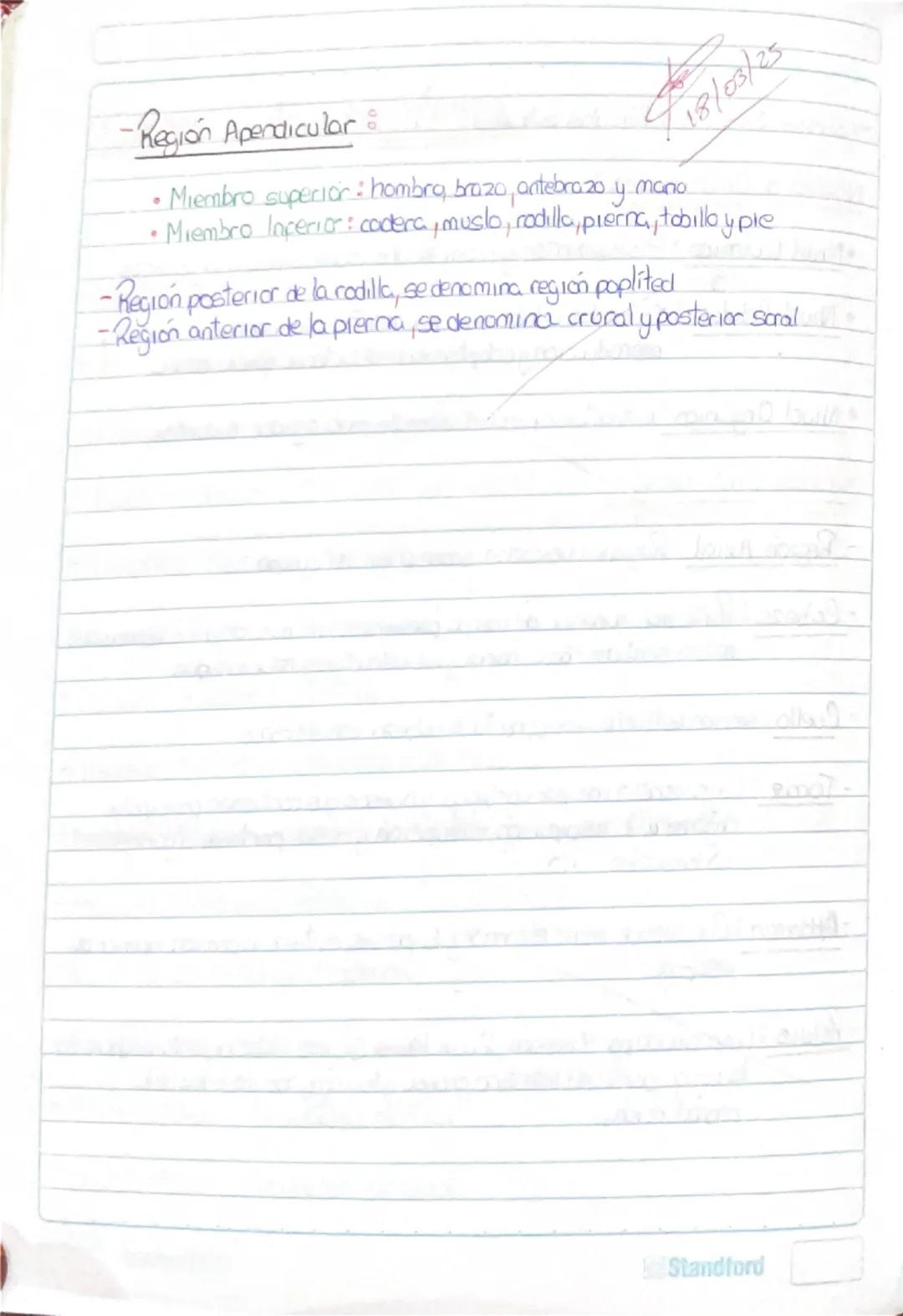 Padres o desabridores :
- Hipócrates de Cos: Medicina y Embridogía
Herófilo de calcedomia: Anatomía
- Aristóteles: Anatomía Comparada
- Eras