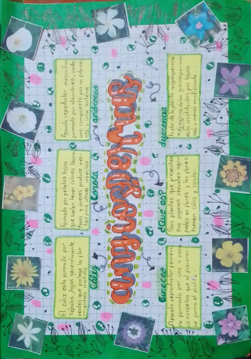El cáliz esta formado por
Sepalos, hojas generalmente
verdes que protege la flor
mientras madura
Cález g
Formado
por petalos hojas
que suele