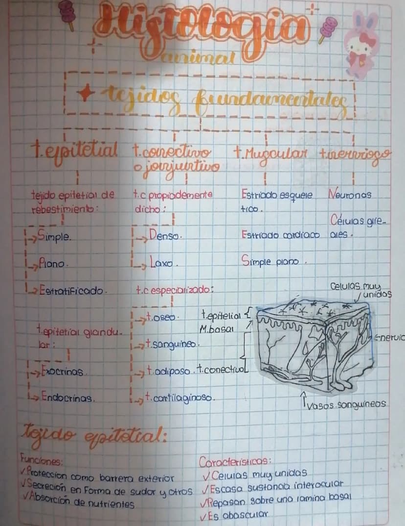 --- OCR Start ---
Histologia
Curimal
tejidos fundamentales
tepitetial
tejido epitetial de
rebestimiento:
Simple.
Piano
Estratificado.
tepite