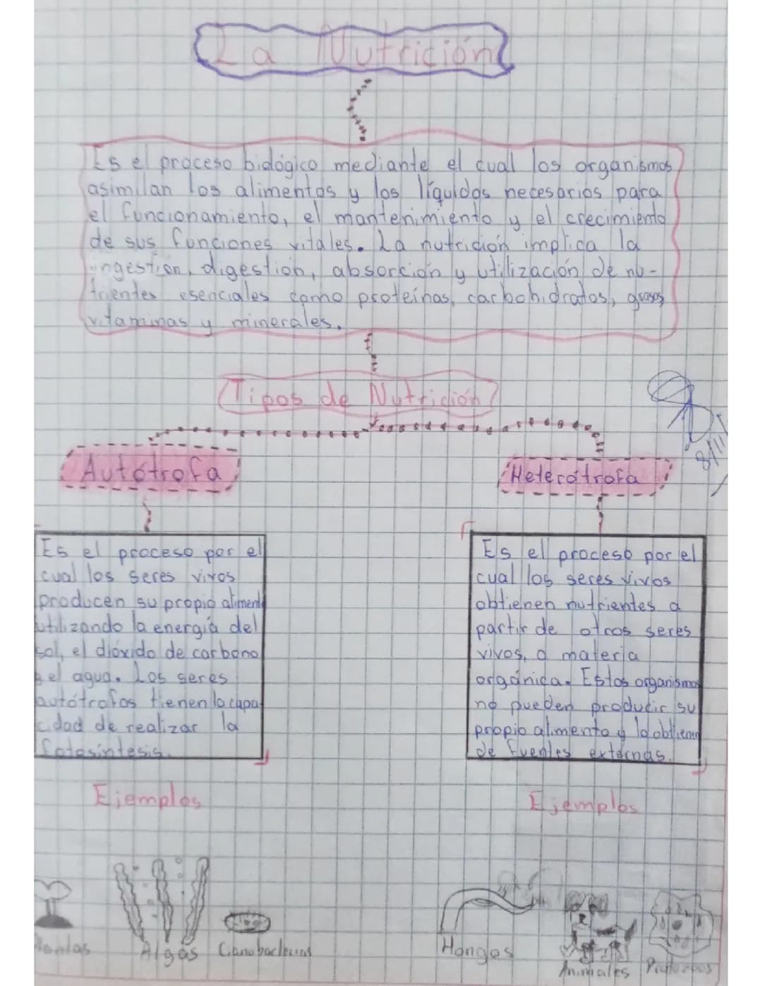 La Nutrición 