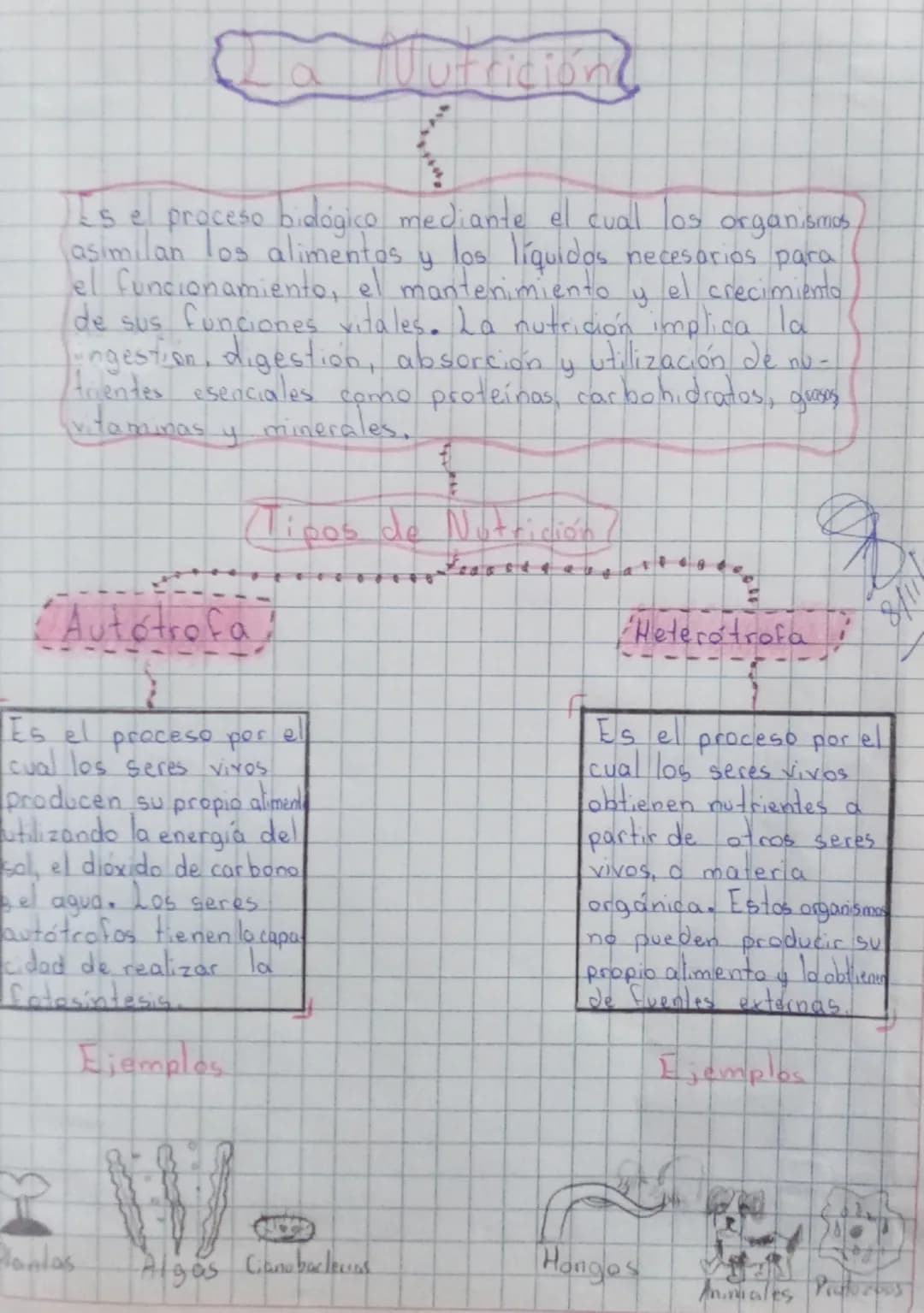 Uutricion
II's el proceso bidógico mediante el cual los organismos
asimilan los alimentos y los líquidos necesarios para
el funcionamiento, 
