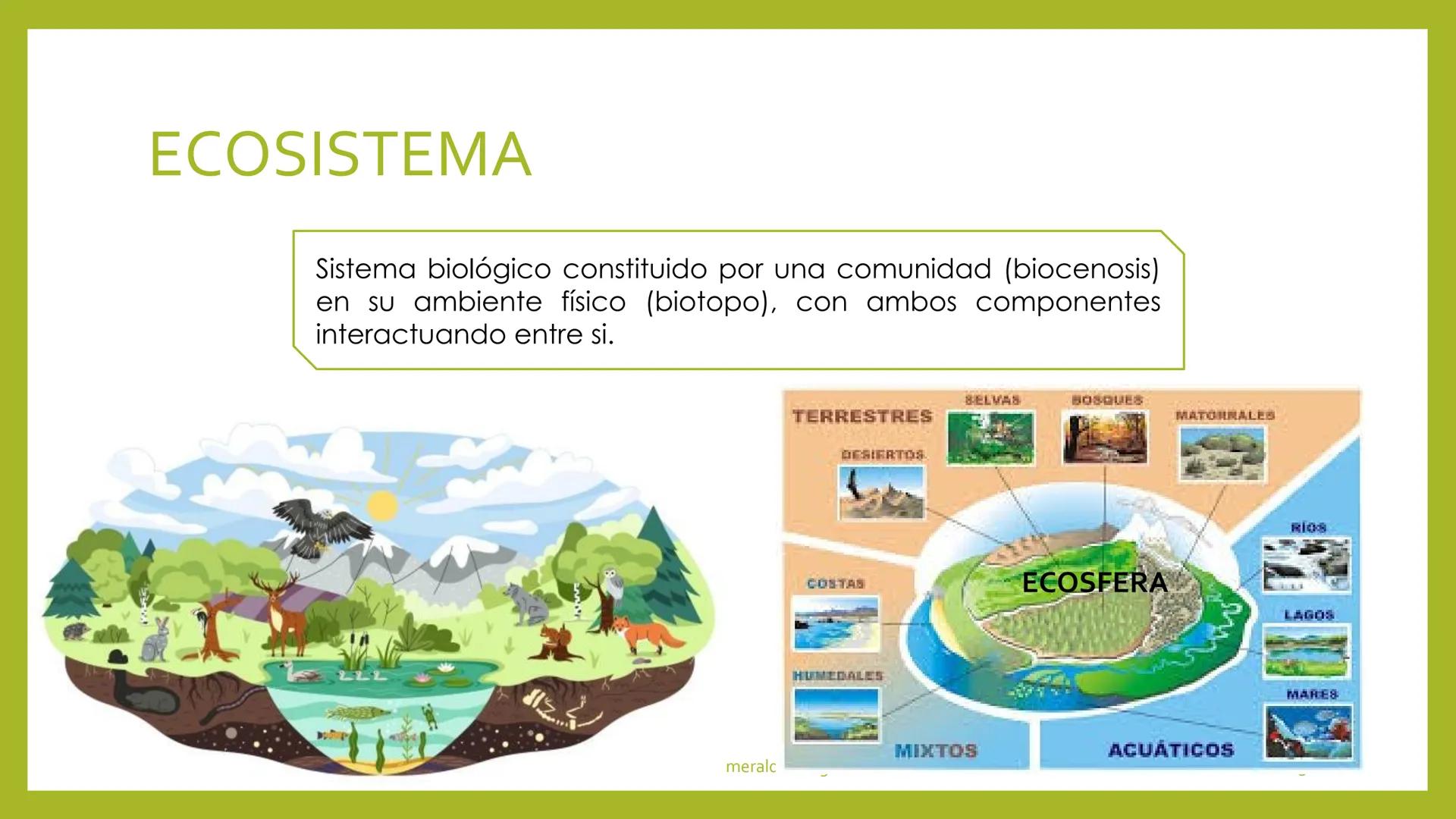 # INTRODUCCIÓN A LA
# ECOLOGÍA

Sesión 1

Docente:

Blgo. Lía E. Aliaga Zurita

DAP. Ciencias Biológicas

Fac, Ciencias de la Salud UNC # ¿Q