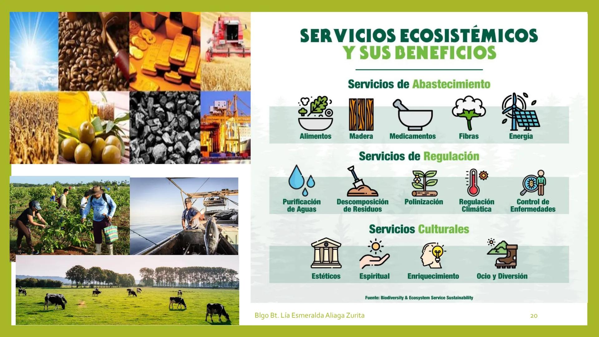 # INTRODUCCIÓN A LA
# ECOLOGÍA

Sesión 1

Docente:

Blgo. Lía E. Aliaga Zurita

DAP. Ciencias Biológicas

Fac, Ciencias de la Salud UNC # ¿Q