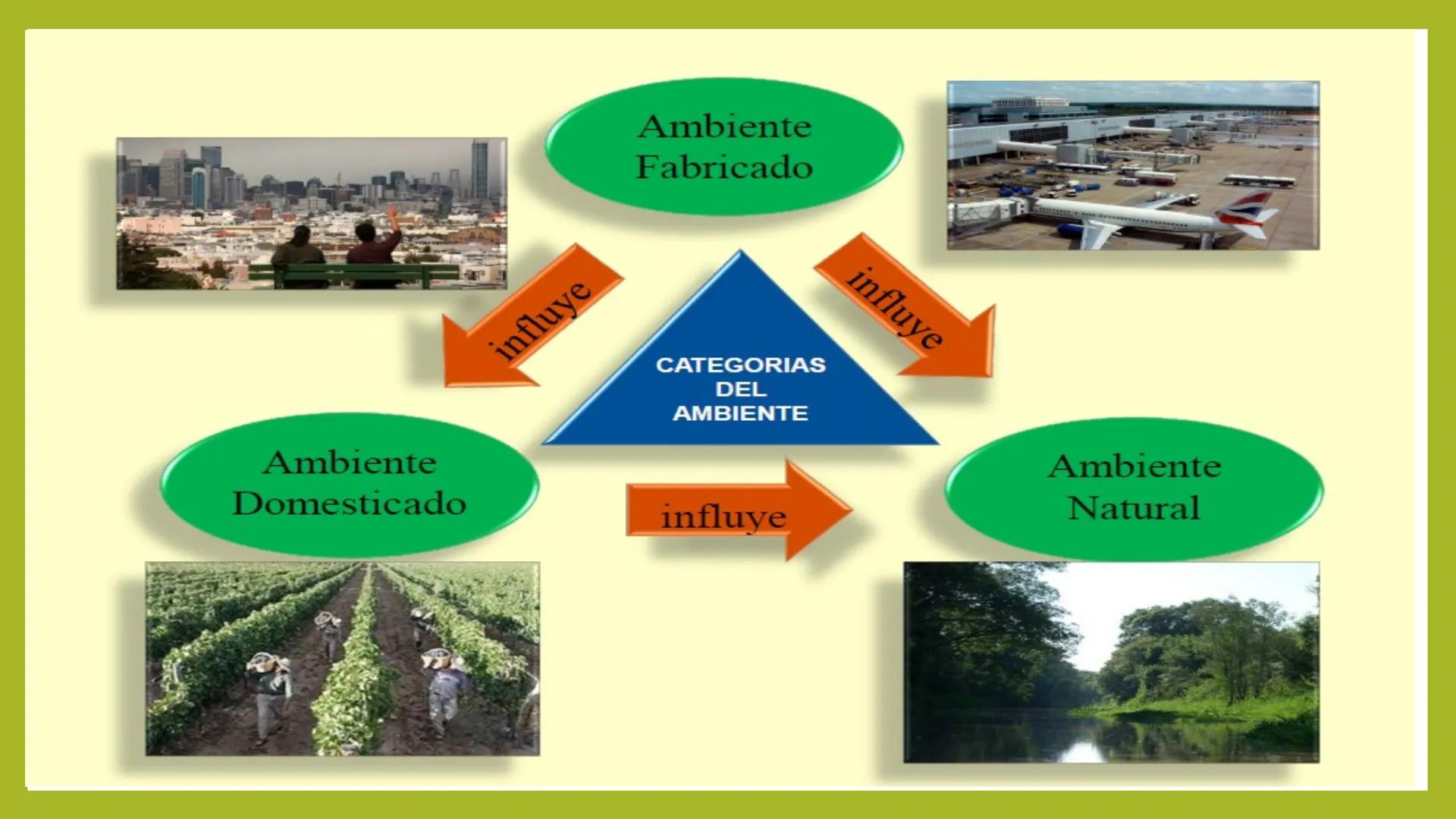 # INTRODUCCIÓN A LA
# ECOLOGÍA

Sesión 1

Docente:

Blgo. Lía E. Aliaga Zurita

DAP. Ciencias Biológicas

Fac, Ciencias de la Salud UNC # ¿Q