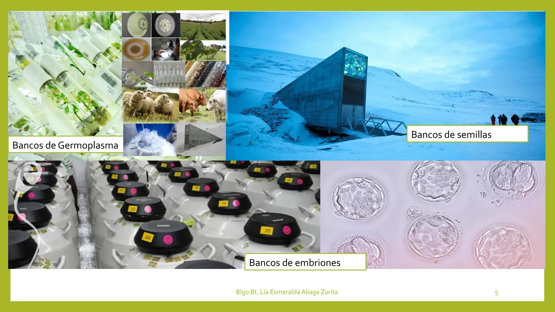 # INTRODUCCIÓN A LA
# ECOLOGÍA

Sesión 1

Docente:

Blgo. Lía E. Aliaga Zurita

DAP. Ciencias Biológicas

Fac, Ciencias de la Salud UNC # ¿Q