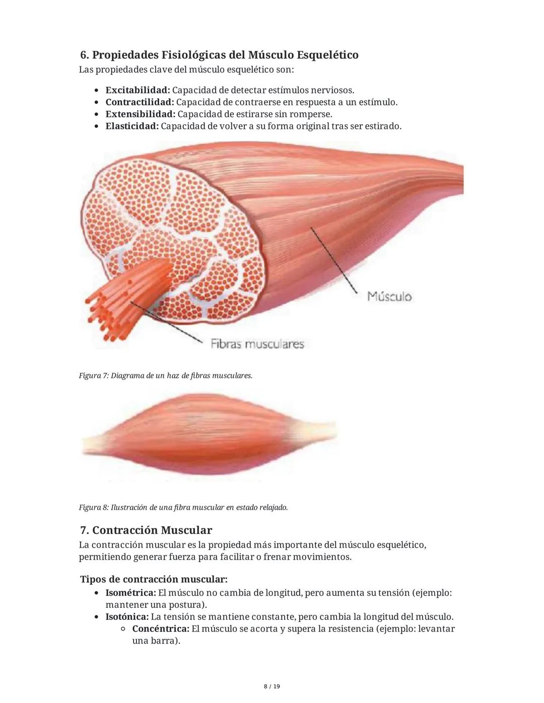 Sistema Muscular
1. Introducción al Sistema Muscular
El sistema muscular es fundamental para el movimiento, la estabilidad, la forma y el
so