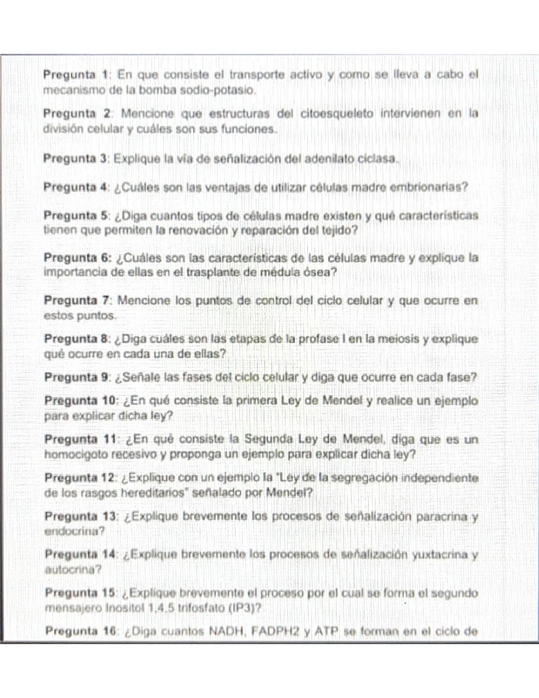 Preguntas de Examen 
