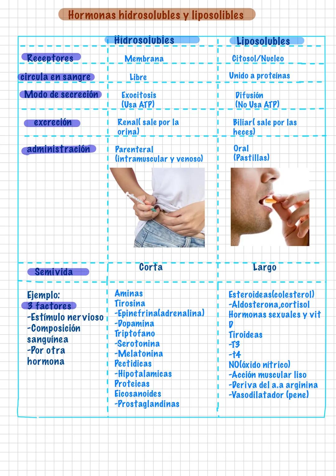 --- OCR Start ---
Hormonas
-Son Mensajeros Químicos
-Funcion modulo funciones
-Viaja por la sangre
-Duracion: larga
Endocrinología
-son pro 