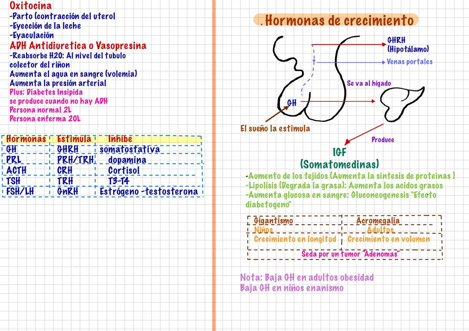 --- OCR Start ---
Hormonas
-Son Mensajeros Químicos
-Funcion modulo funciones
-Viaja por la sangre
-Duracion: larga
Endocrinología
-son pro 