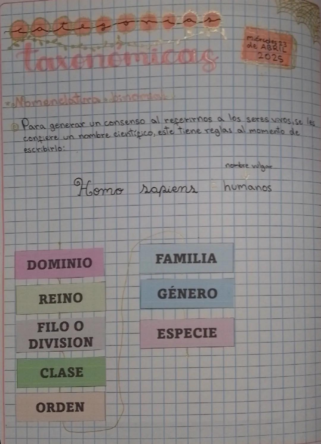 Taxonomicas
*Nomenclaturabinomial
miércoles
23
de ABRIL
2025
• Para generar un consenso al referirnos a los seres vivos, se les
confiere un 