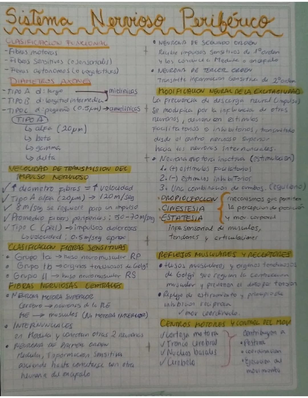 Sistema nervioso periférico 