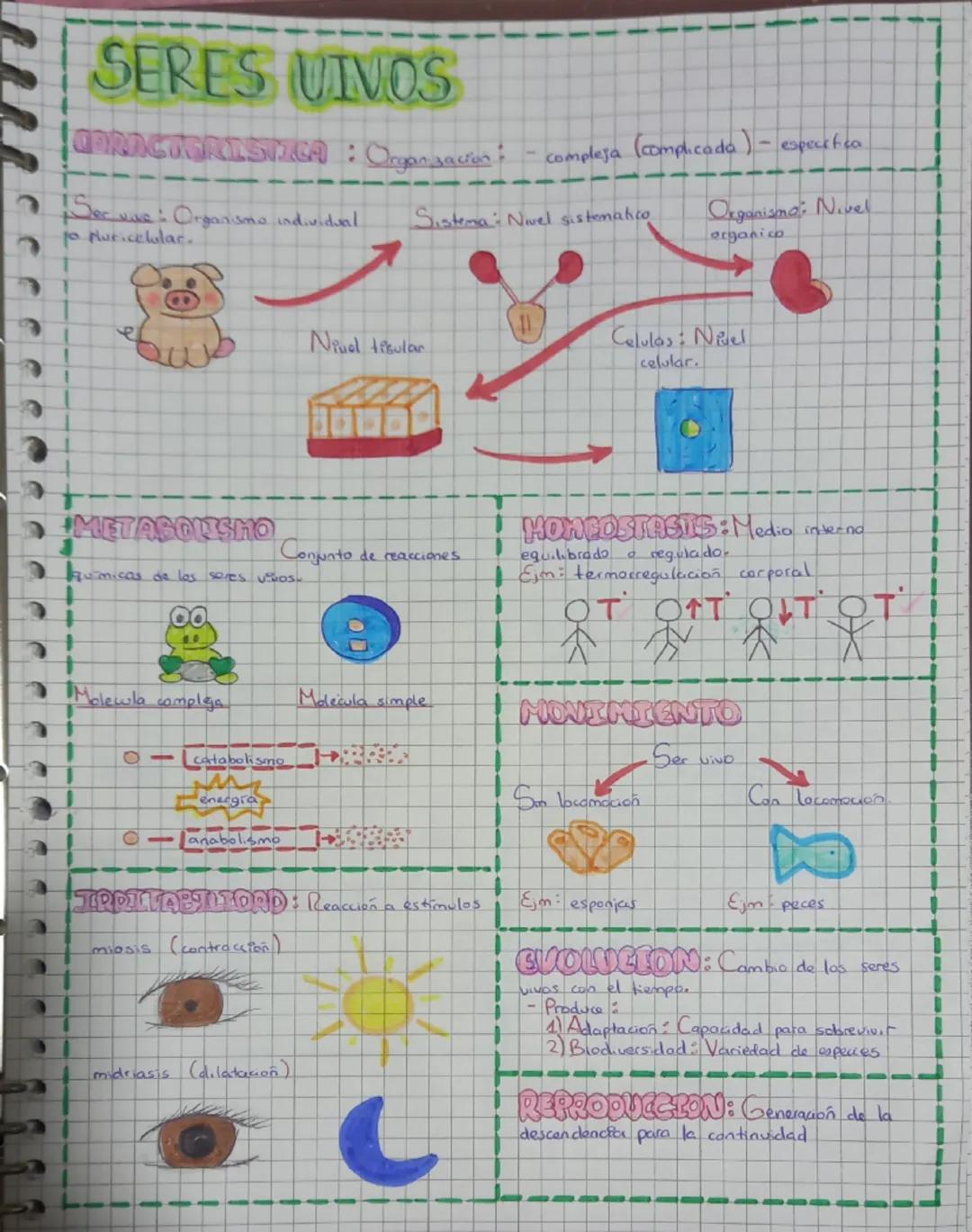 Propiedades Fundamentales de los Seres Vivos