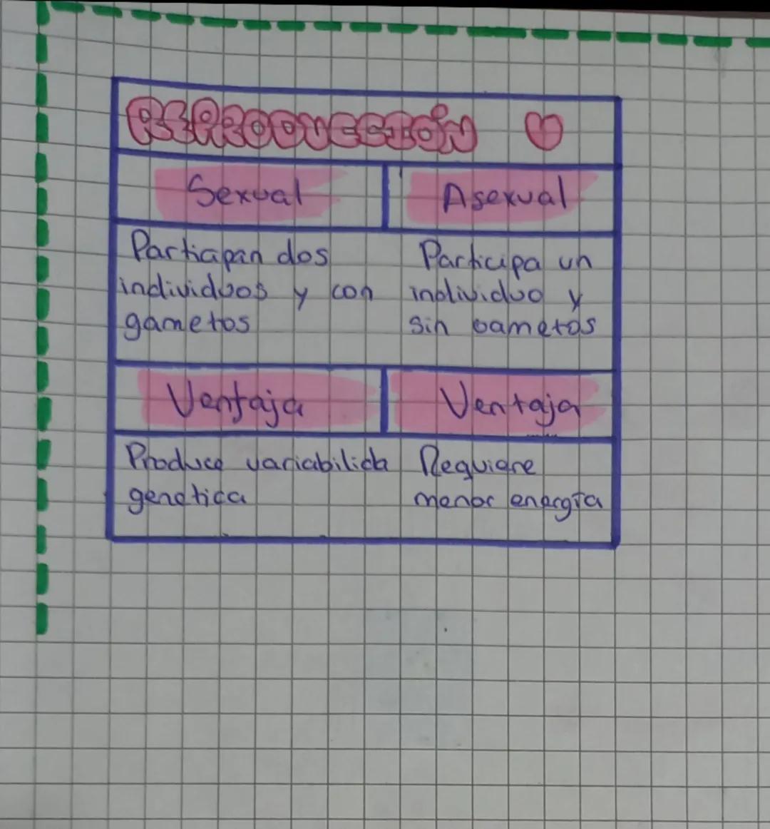 SERES VIVOS
CARACTERISTICA: Organsaction: - compleja (complicada) - exspectien
Sec vue: Organismo individual
po pur.celulac.
Organismo: Nive