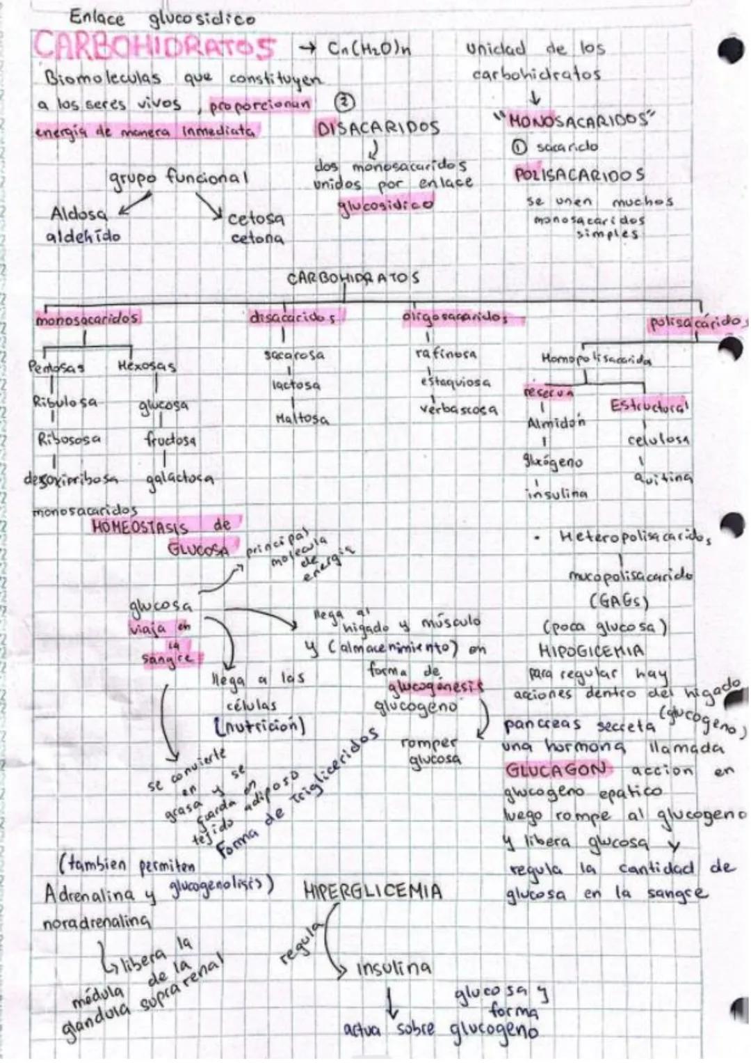 # Enlace glucosidico
CARBOHIDRATOS → Cn(H2O)n
Biomoleculas que constituyen.
a los seres vivos , proporcionun
energia de manera inmediata
DIS