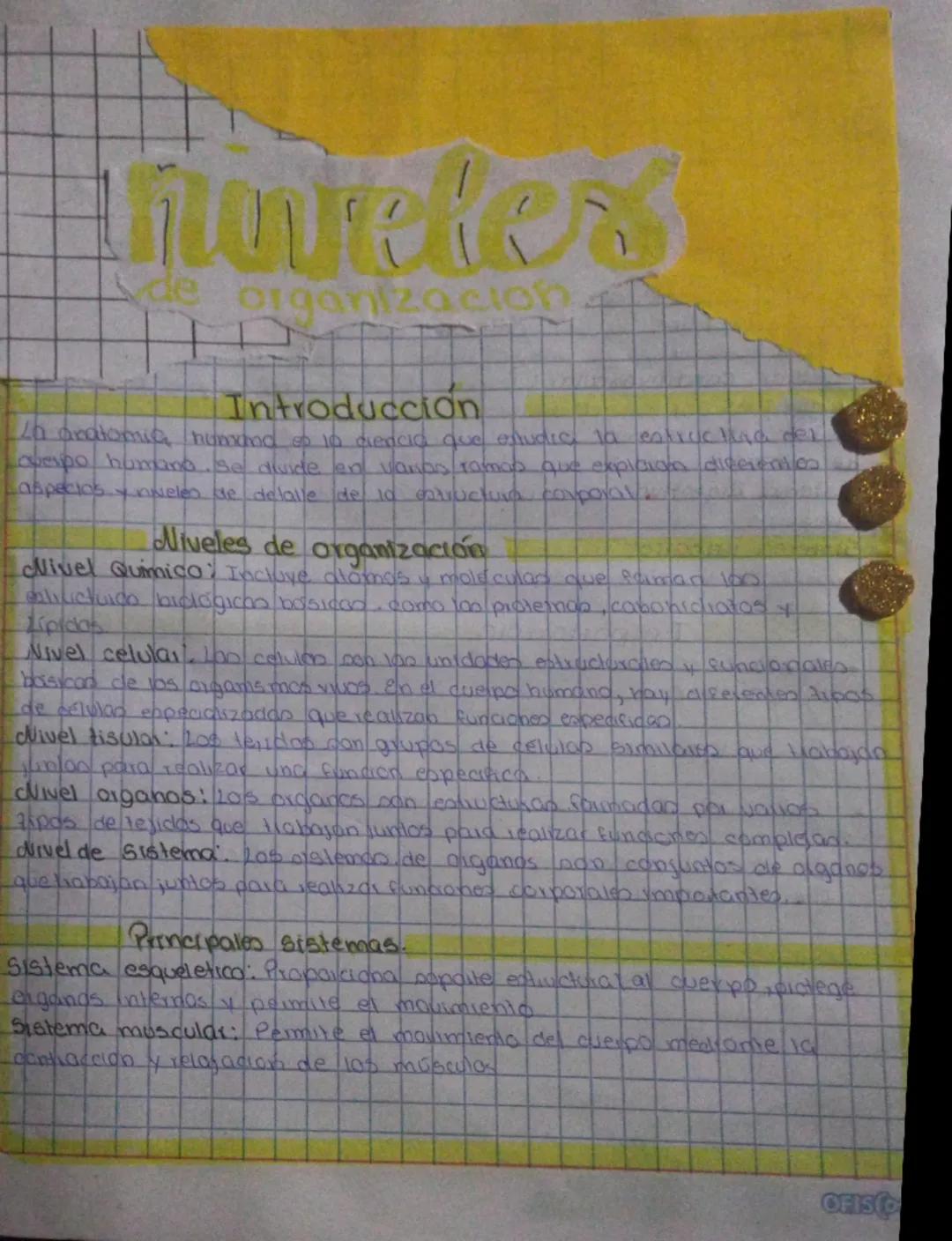 # niveles

de organizacion

## Introducción
20 anatomia humchod of in diencia que envoie, la estructura del
overpo humano se dwide en vanas 
