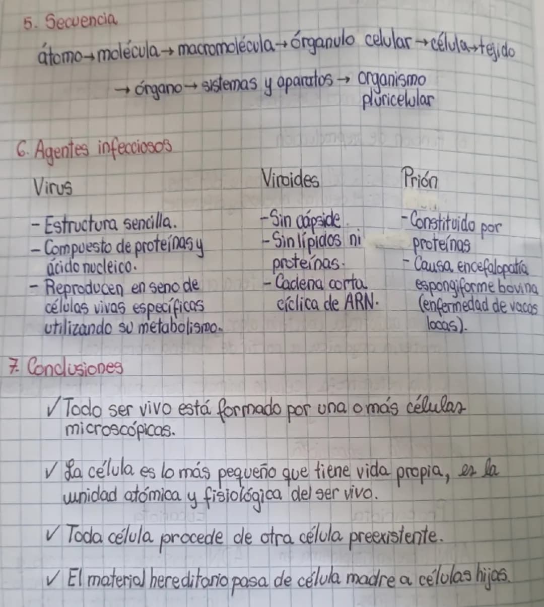 # La Teoría celular =

Hooke da
nombre a células

Malpighi inicia
la microscopía

Brown define núcleo

Ramón y Cajal
investiga tejido nervio