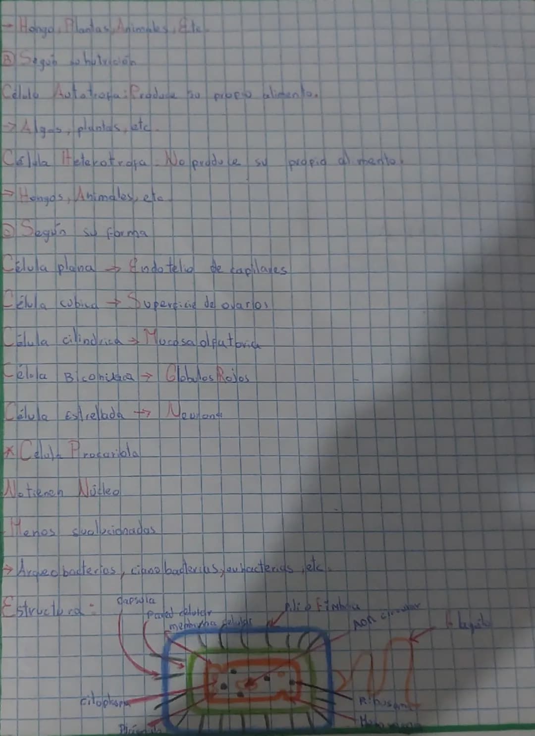 # Ciencia Biología

Biología
-Etimológicamente
Bio = vida
Logos = estudio o tratado

*Padre de la biología
Aristóteles

Definición:

 Cienci