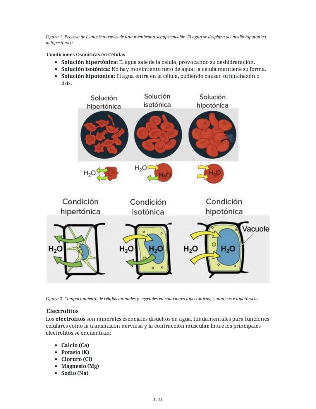Introducción a la Bioquímica - Resumen Semana 6
1. Presentación y Propósito de la Sesión
La sesión de la semana 6 en la Universidad Autónoma