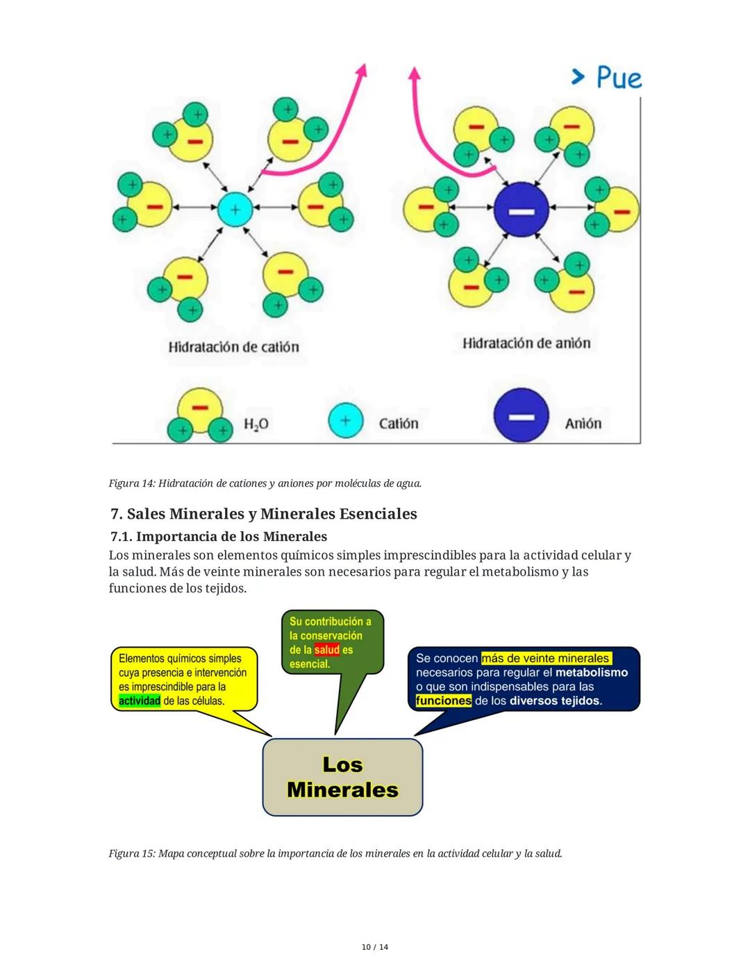 Biología General: Bioelementos y Biomoléculas Inorgánicas
1. Introducción a la Biología General y los Componentes de los Seres
Vivos
La biol