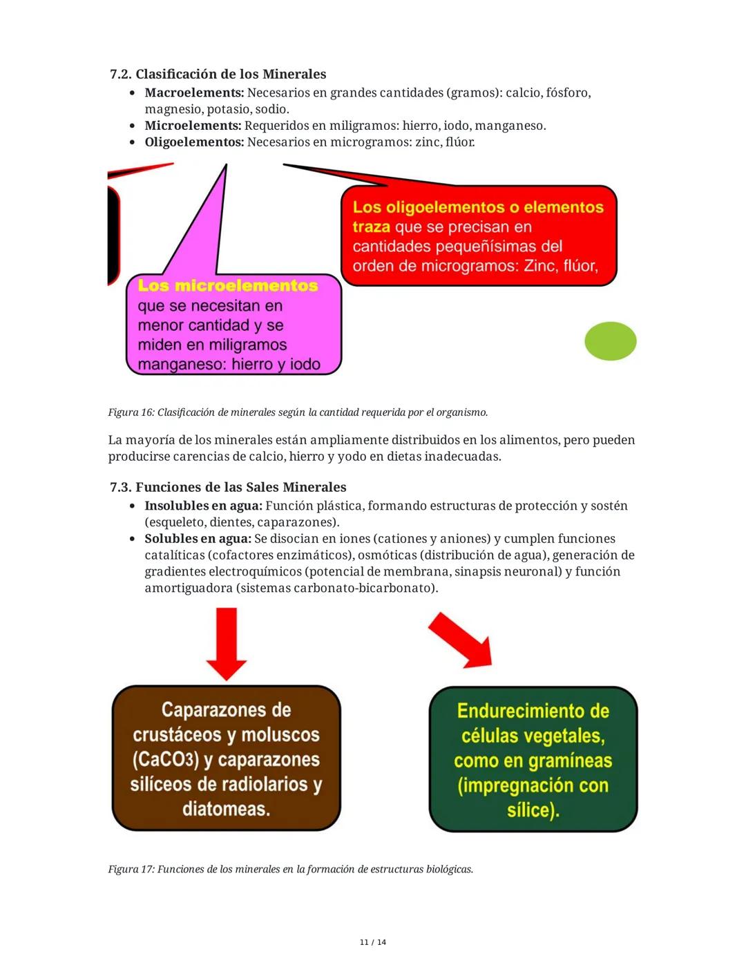 Biología General: Bioelementos y Biomoléculas Inorgánicas
1. Introducción a la Biología General y los Componentes de los Seres
Vivos
La biol