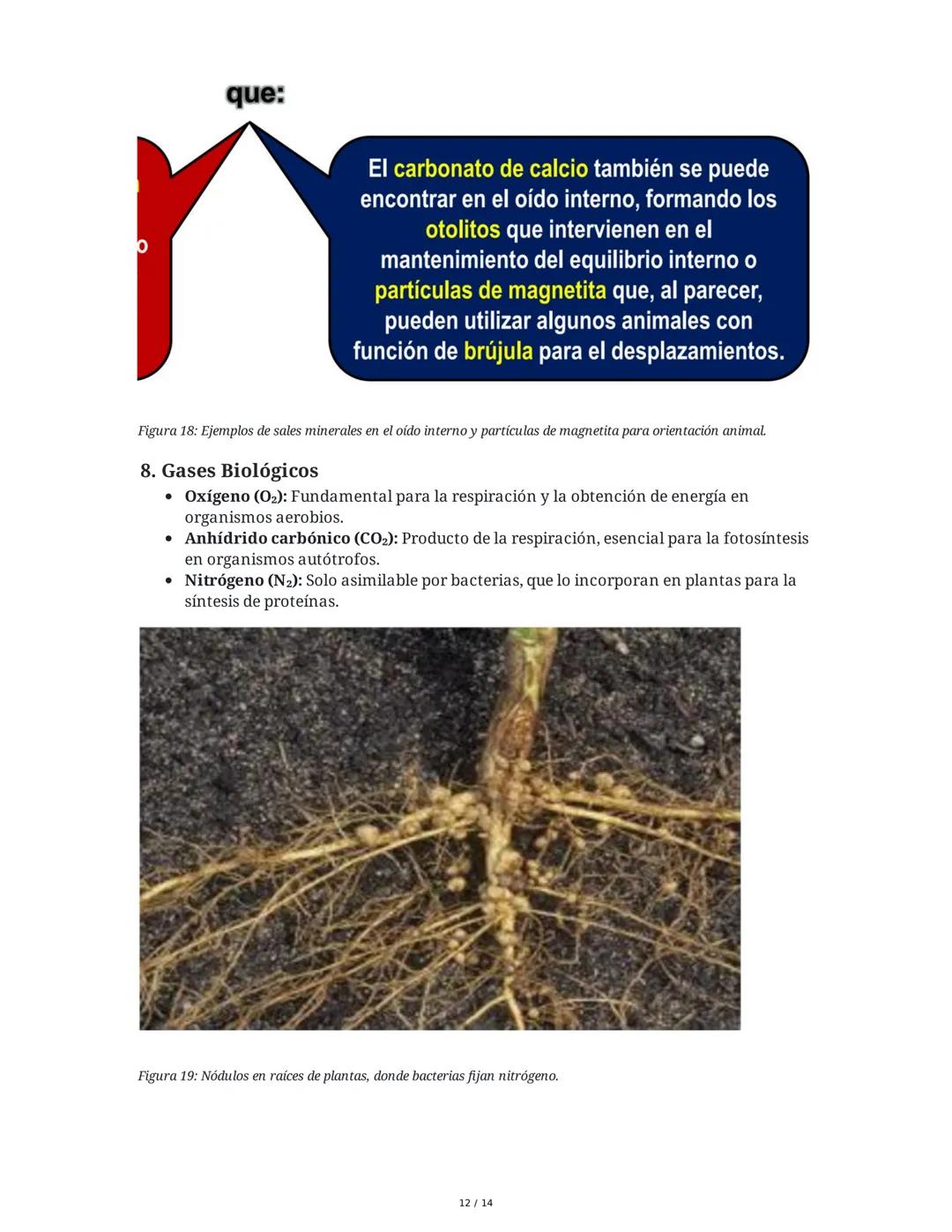 Biología General: Bioelementos y Biomoléculas Inorgánicas
1. Introducción a la Biología General y los Componentes de los Seres
Vivos
La biol
