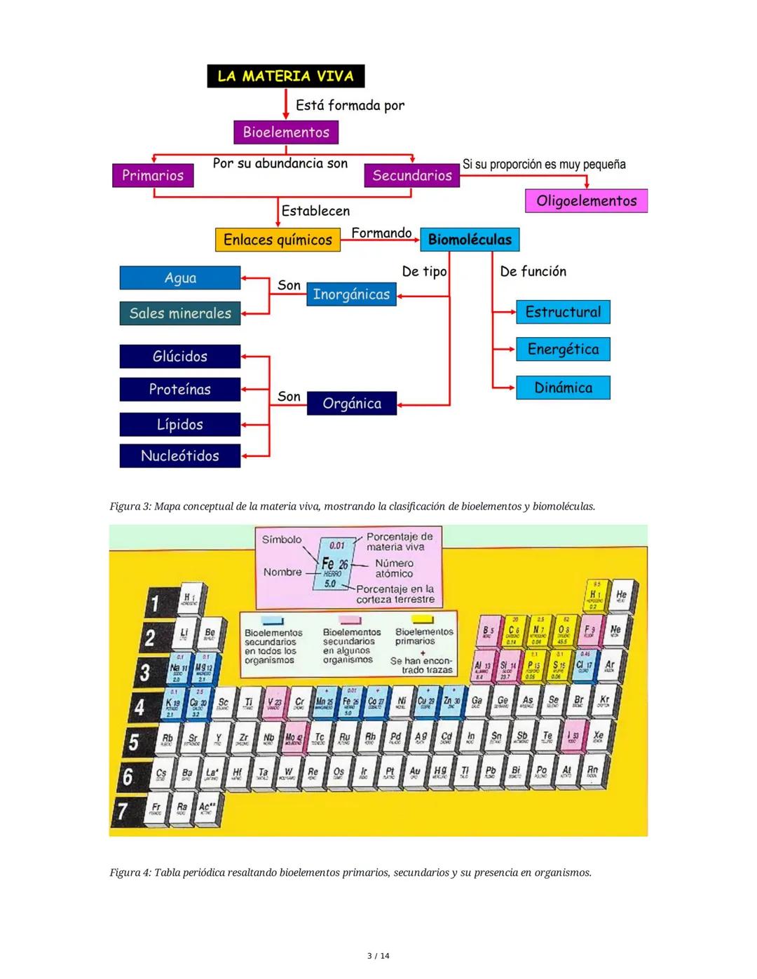 Biología General: Bioelementos y Biomoléculas Inorgánicas
1. Introducción a la Biología General y los Componentes de los Seres
Vivos
La biol