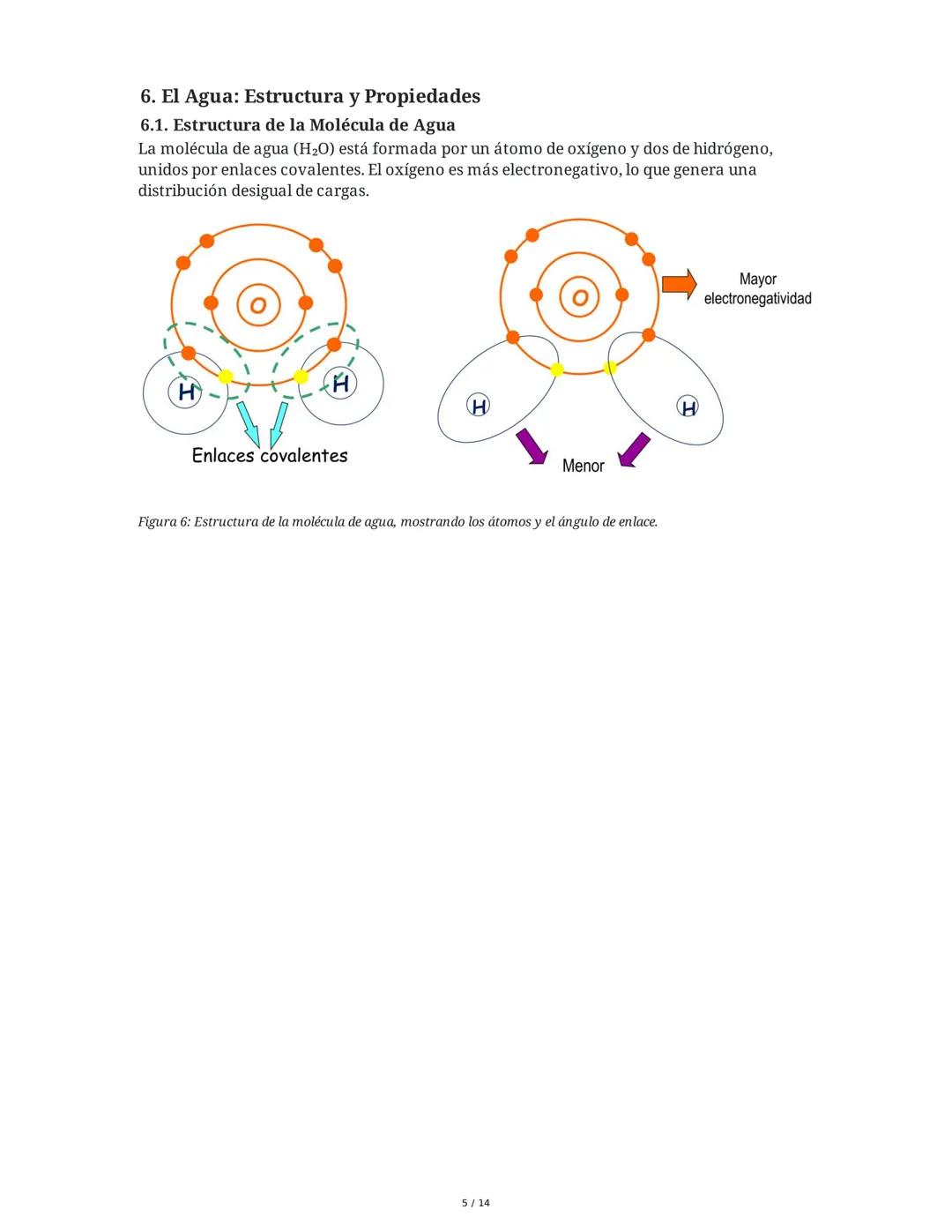 Biología General: Bioelementos y Biomoléculas Inorgánicas
1. Introducción a la Biología General y los Componentes de los Seres
Vivos
La biol