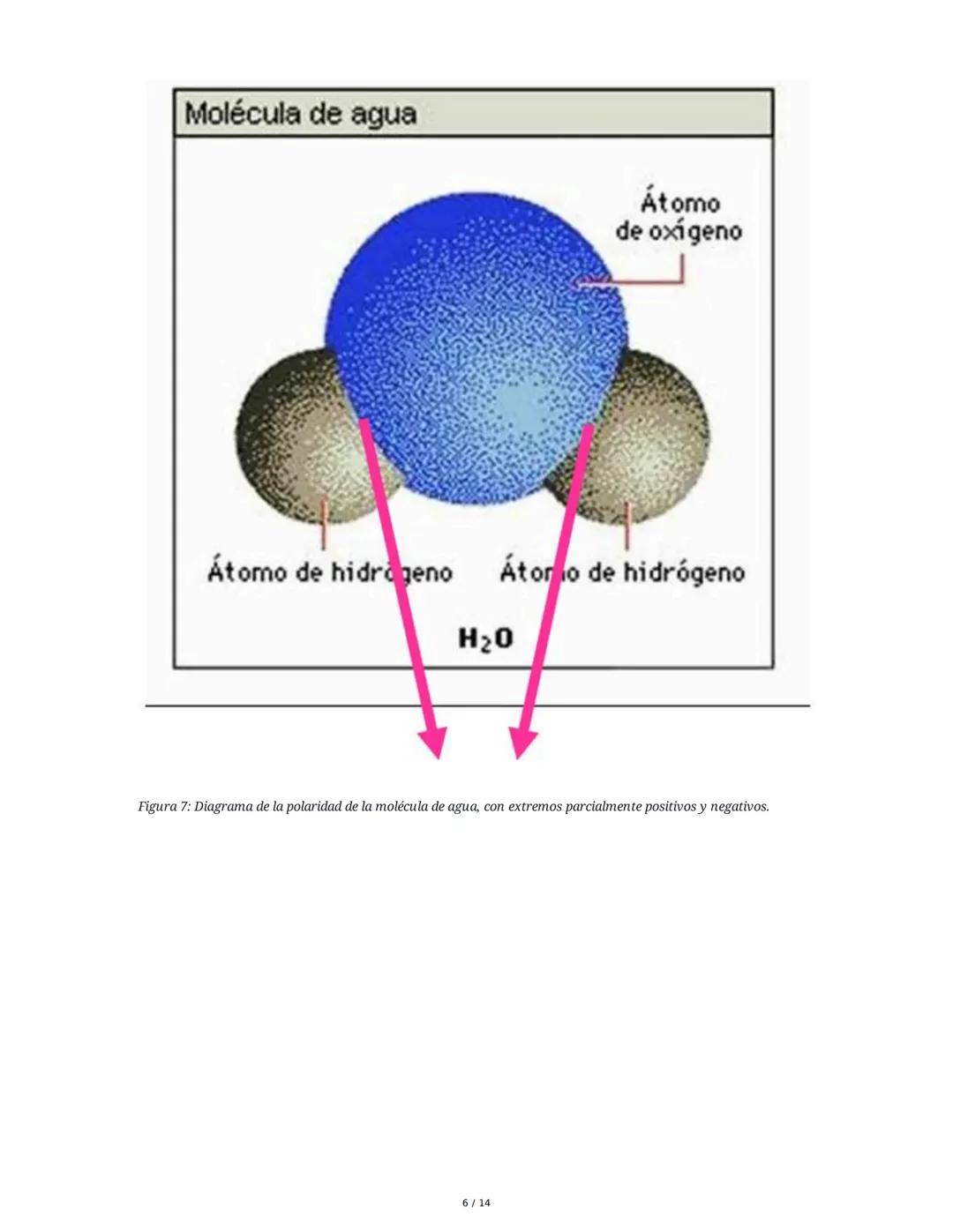 Biología General: Bioelementos y Biomoléculas Inorgánicas
1. Introducción a la Biología General y los Componentes de los Seres
Vivos
La biol