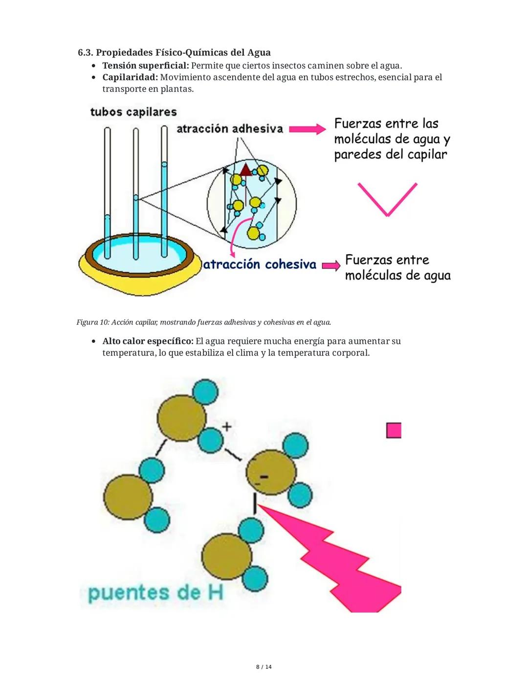 Biología General: Bioelementos y Biomoléculas Inorgánicas
1. Introducción a la Biología General y los Componentes de los Seres
Vivos
La biol