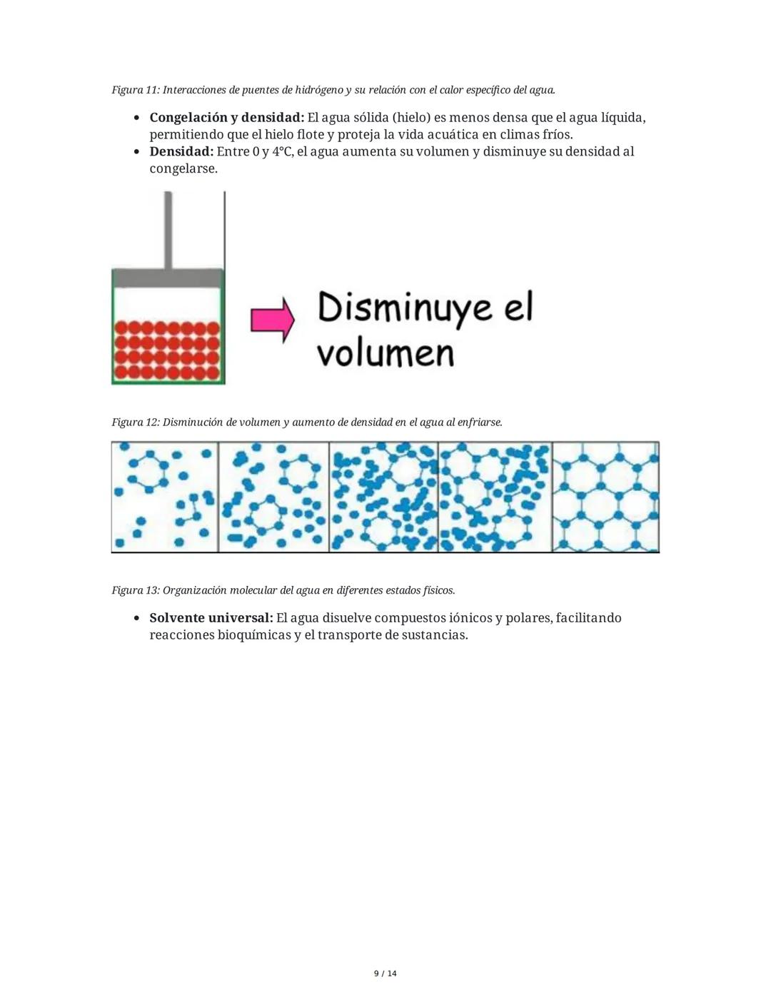 Biología General: Bioelementos y Biomoléculas Inorgánicas
1. Introducción a la Biología General y los Componentes de los Seres
Vivos
La biol