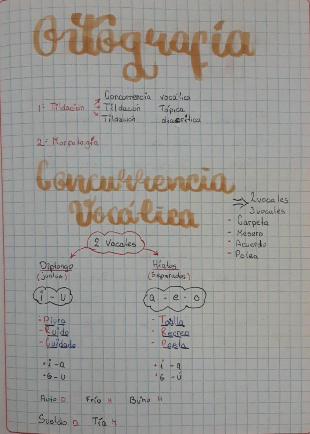 Entendiendo la Tilde Tópica y Concurrencia Vocálica