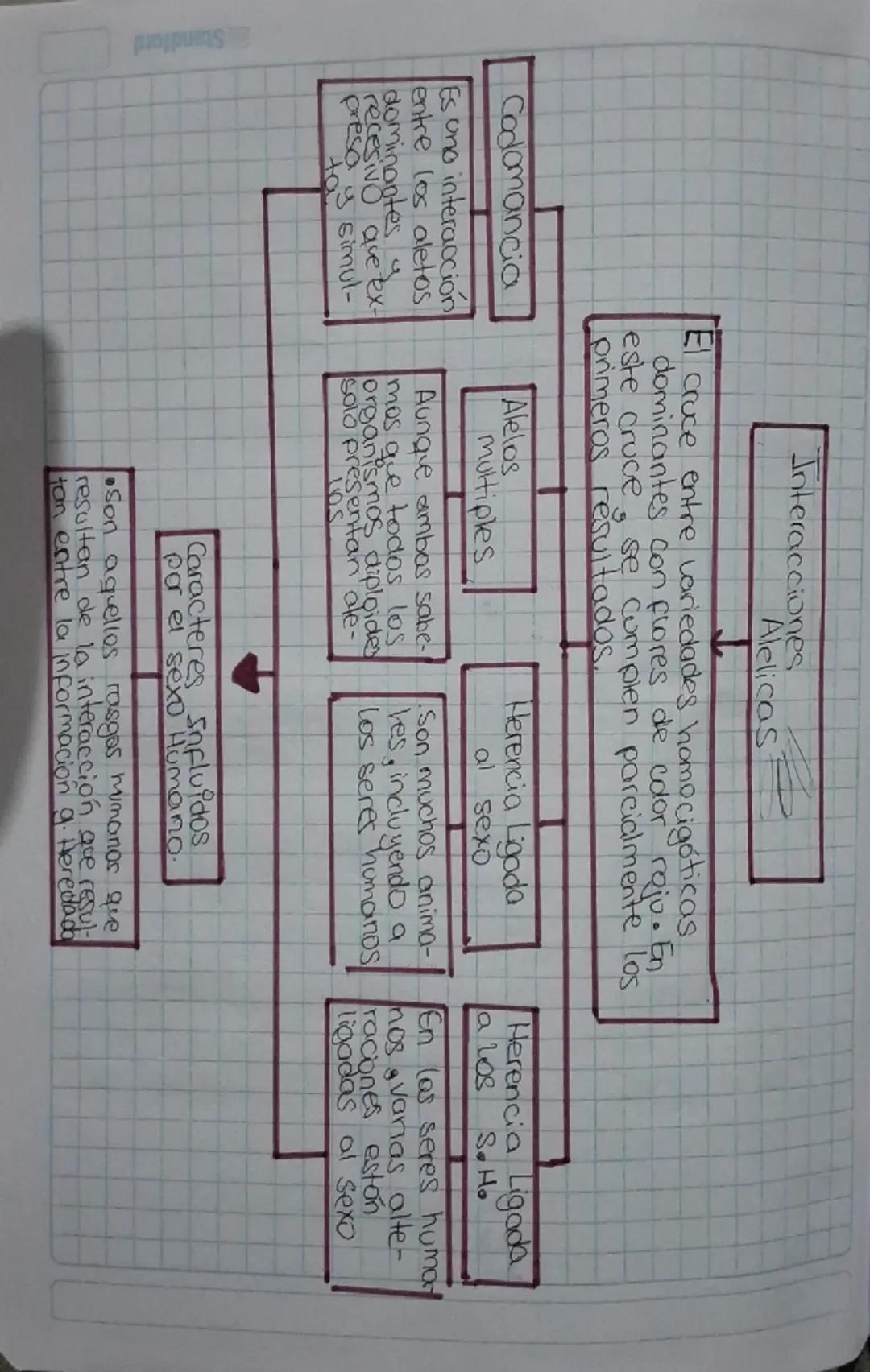 Codomancia

Es uno interacción
entre los aletos
dominantes y
recesivo que ex-
presa y simul-
ta

Interacciones
Alelicas

El cruce entre vari