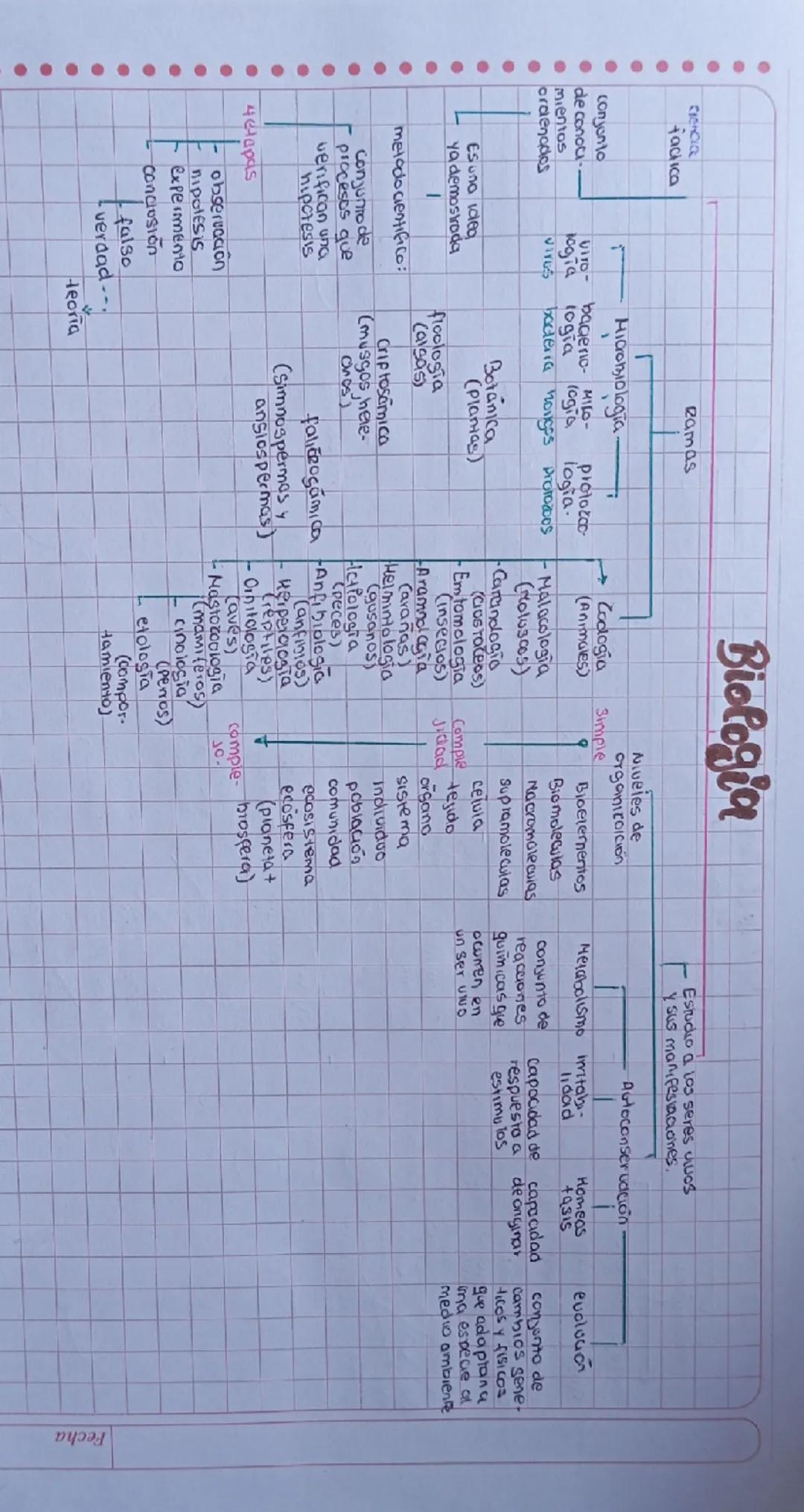 # Biologia

## Ramas

tactica

Micromiologia.

Niveles de
Organicoición

Estudio a los seres vivoS
y sus manifestaciones.

Autoconservación
