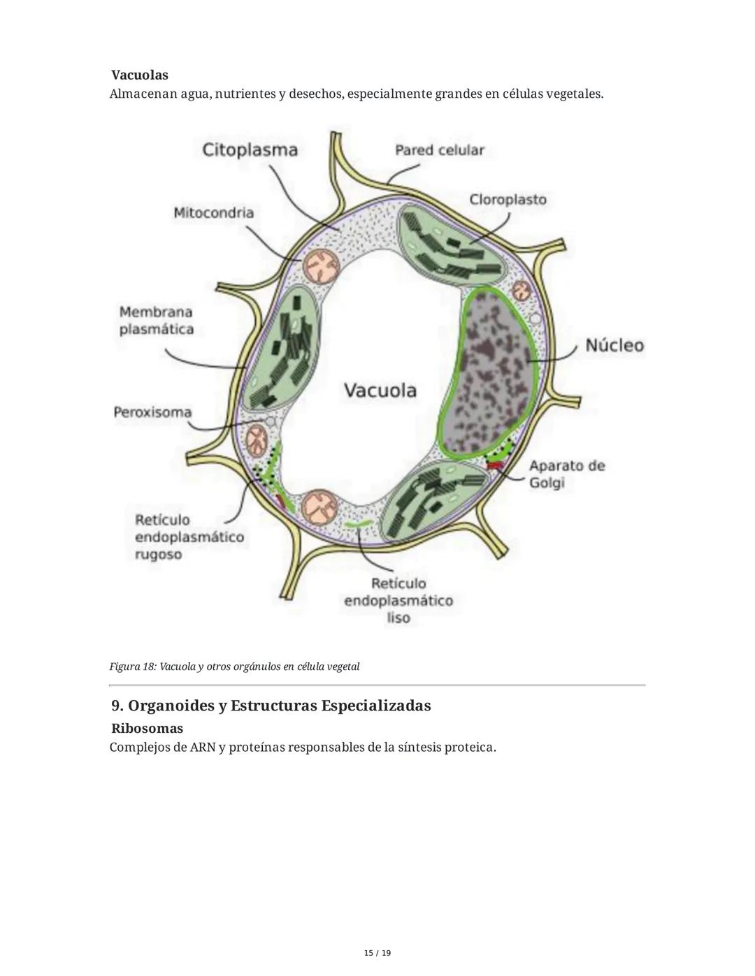 Fundamentos Biológicos y Químicos en el Ser Humano
1. Introducción y Objetivos
La sesión aborda los niveles de organización biológica, centr
