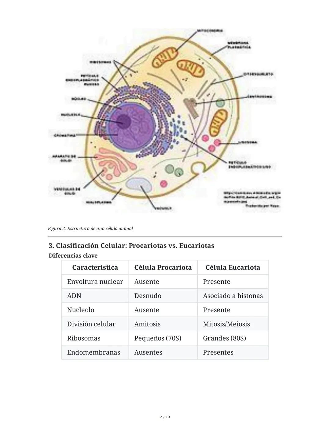 Fundamentos Biológicos y Químicos en el Ser Humano
1. Introducción y Objetivos
La sesión aborda los niveles de organización biológica, centr