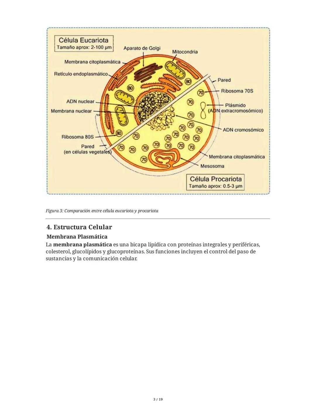 Fundamentos Biológicos y Químicos en el Ser Humano
1. Introducción y Objetivos
La sesión aborda los niveles de organización biológica, centr