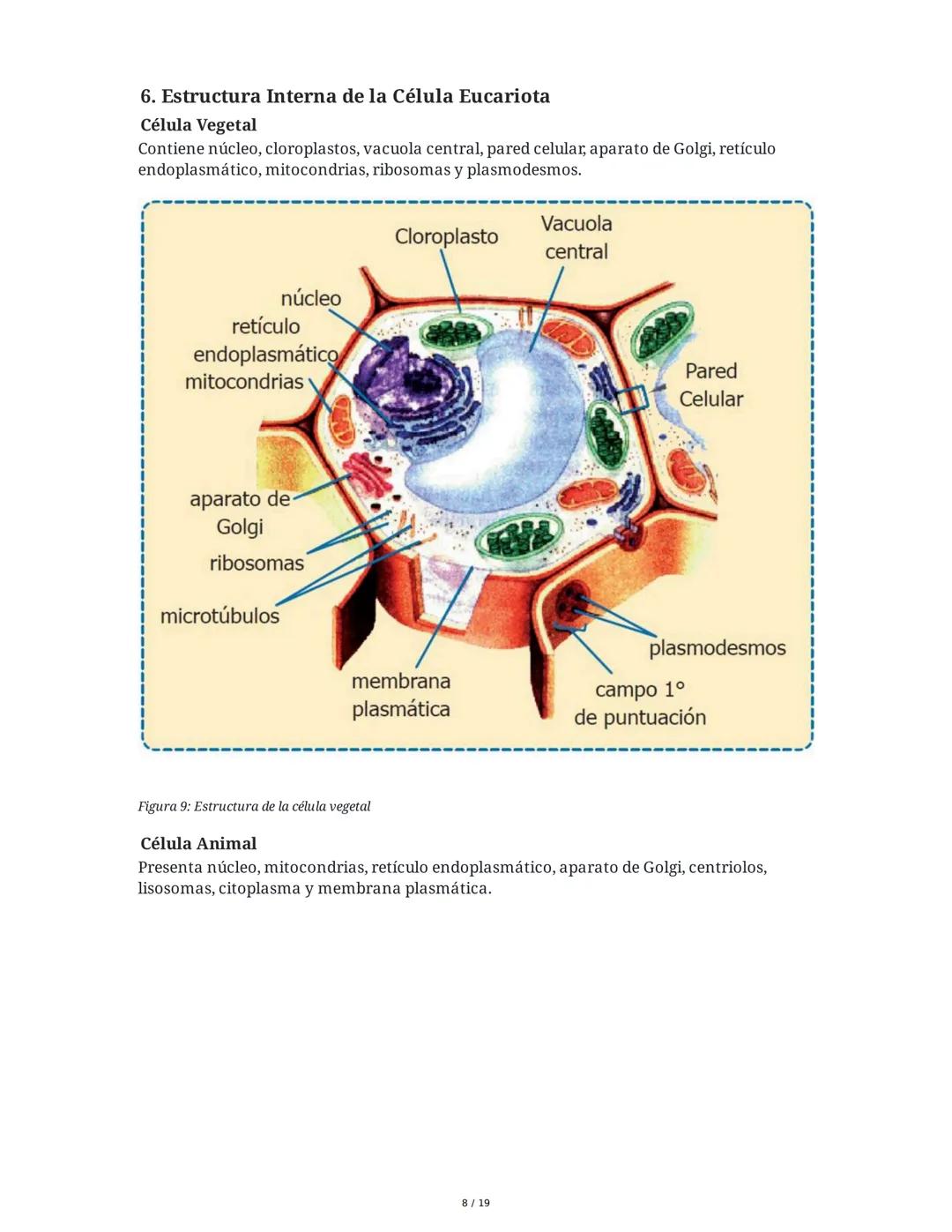 Fundamentos Biológicos y Químicos en el Ser Humano
1. Introducción y Objetivos
La sesión aborda los niveles de organización biológica, centr