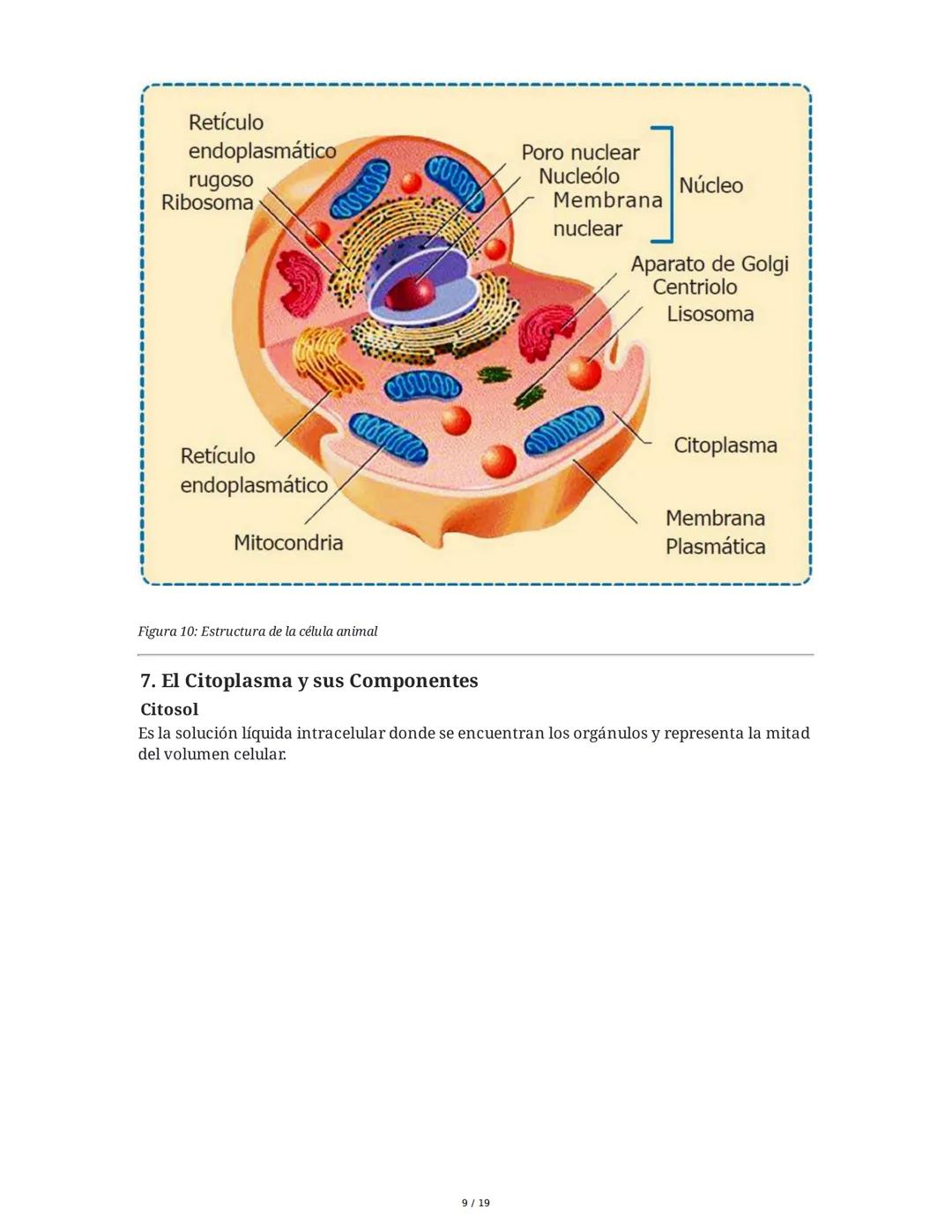 Fundamentos Biológicos y Químicos en el Ser Humano
1. Introducción y Objetivos
La sesión aborda los niveles de organización biológica, centr