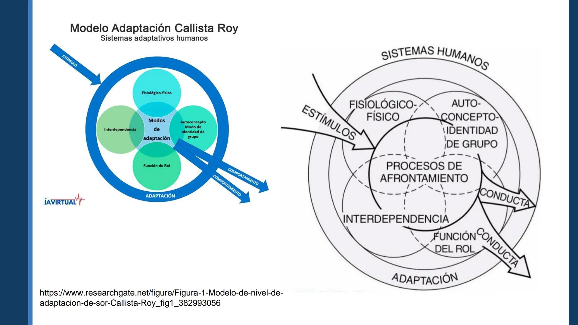 Pregrado
Programa de
Enfermería

FUNDAMENTOS DE
ENFERMERÍA

Sesión 6

Tema:
Teoría de las necesidades humanas de
Virginia Henderson.
Teoría 