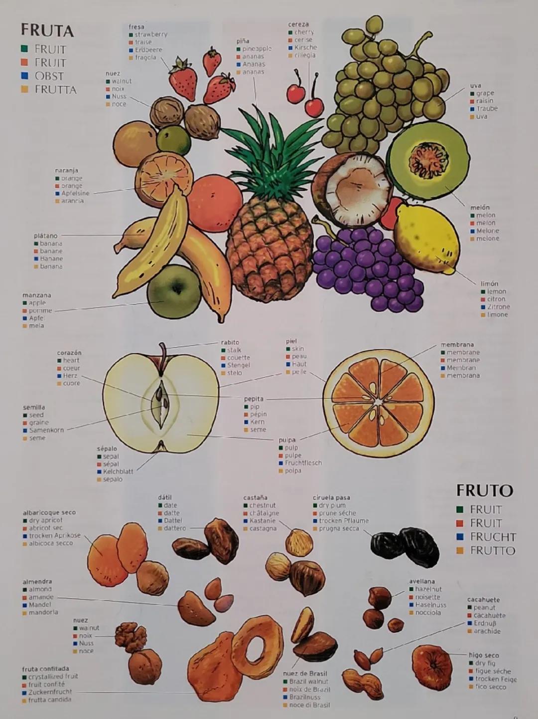 FRUTA
cereza
fresa
cherry
strawberry
fraise
piña
cerise
■FRUIT
FRUIT
■OBST
■FRUTTA
Erdbeere
pineapple
Kirsche
fragcia
ananas
ciliegia
Ananas