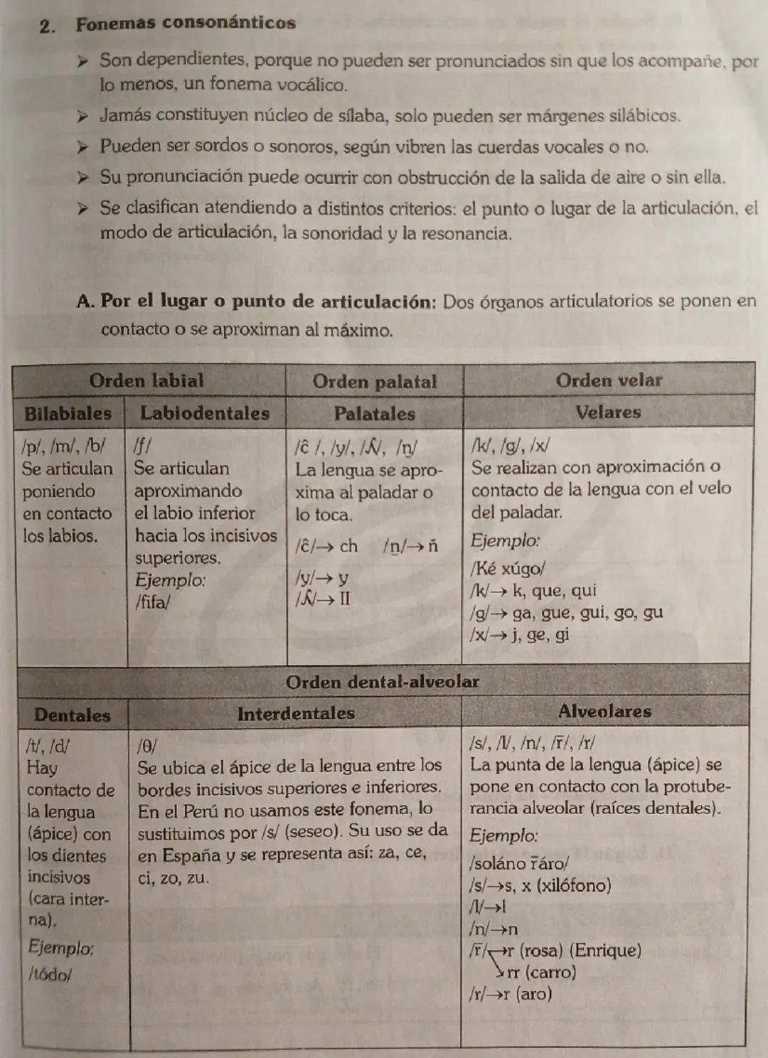 CAPITULO
3
FONÉTICA Y FONOLOGÍA

MARCO TEÓRICO

LA MATERIA PRIMA DE LA LENGUA
La lengua, para ser percibida por los sentidos, ha de estar co