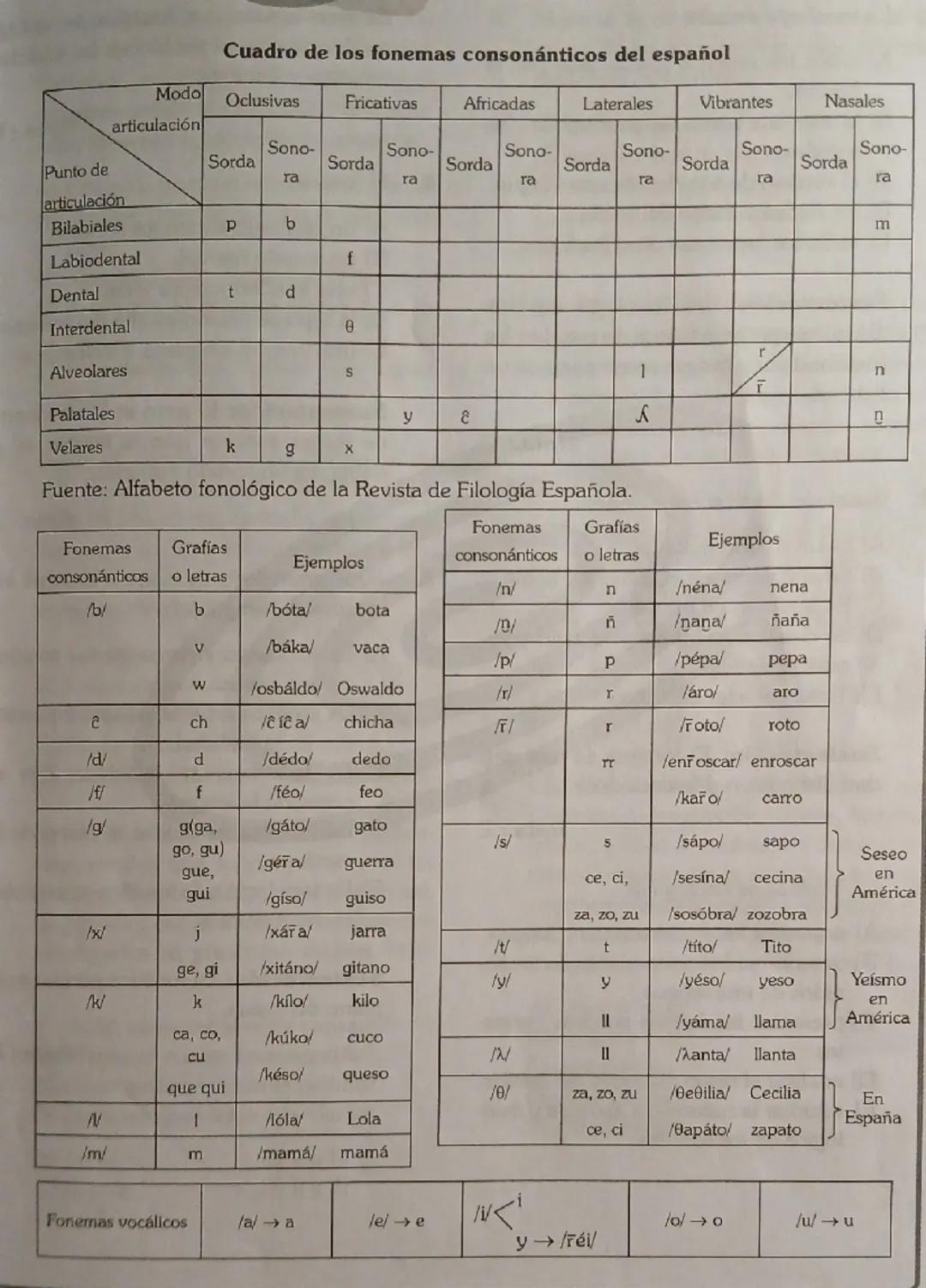 CAPITULO
3
FONÉTICA Y FONOLOGÍA

MARCO TEÓRICO

LA MATERIA PRIMA DE LA LENGUA
La lengua, para ser percibida por los sentidos, ha de estar co