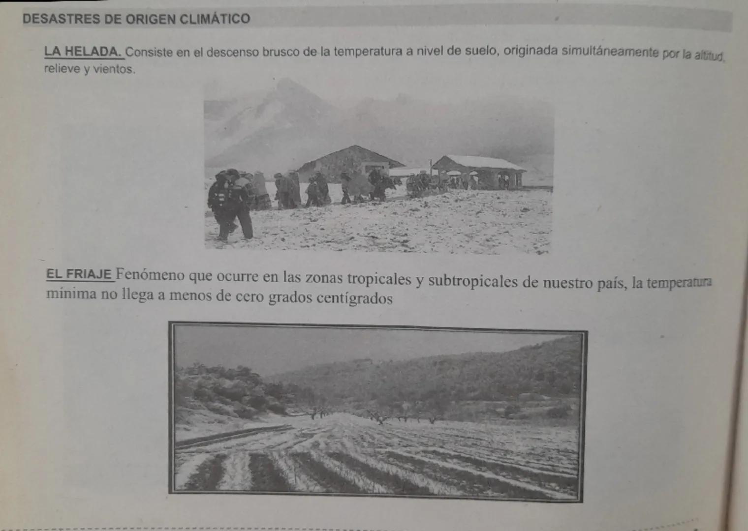 03

# GESTIÓN DE RIESGOS

La Gestión de Riesgo de Desastres es un proceso social cuyo fin último es la prevención, la reducción y el control