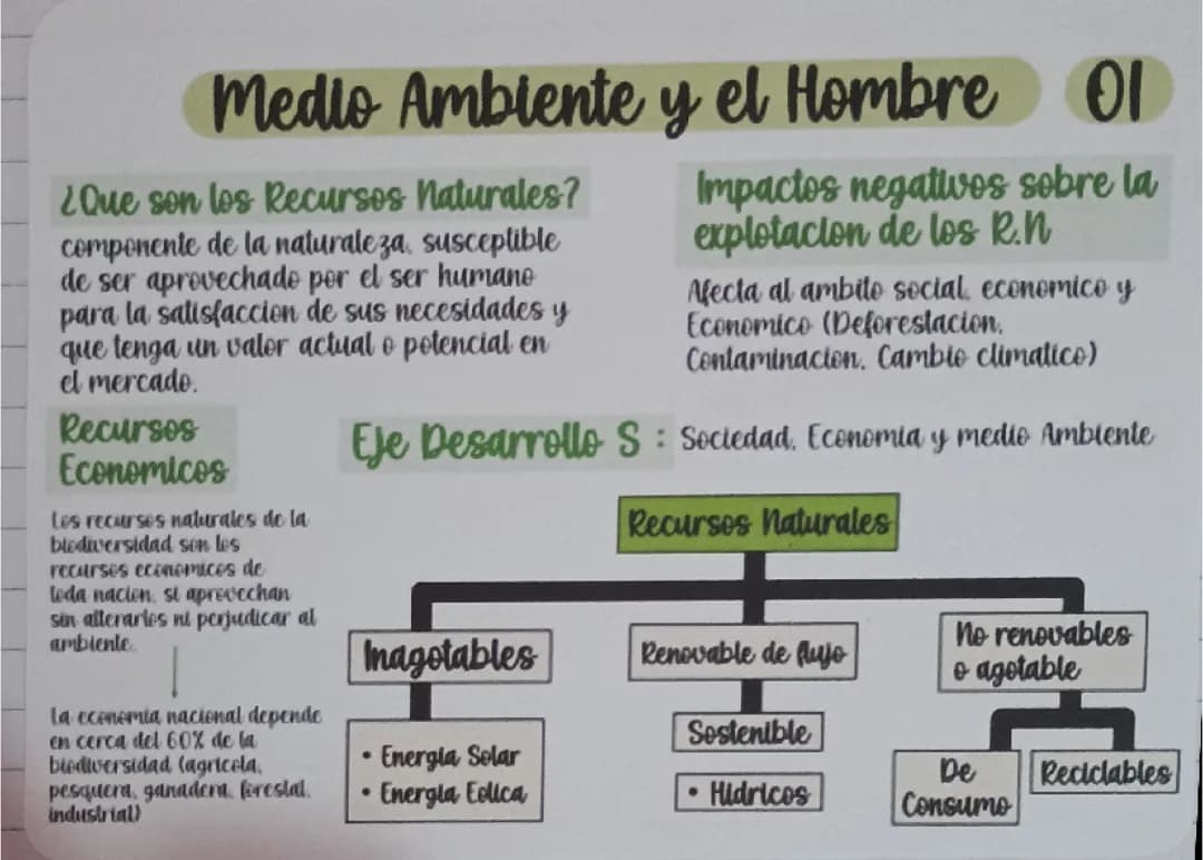 Desarrollo social y Sostenible